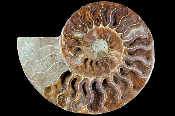 Agatized Ammonite Fossil (Half) - Madagascar #79717